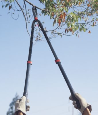 Telescoping Hedger/Pruner