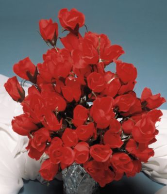 Red Rose Bouquet