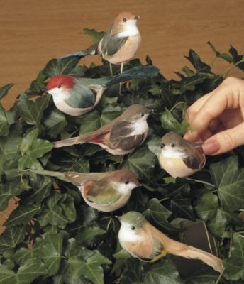 Ornamental Birds - Set of 6