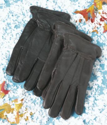Thinsulate-Lined Leather Gloves