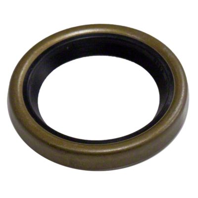 Oil Seal