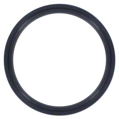 Oil Seal