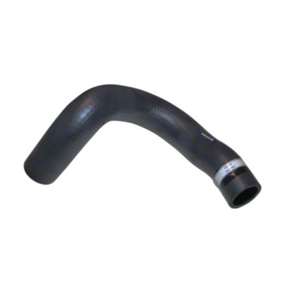 Lower Radiator Hose