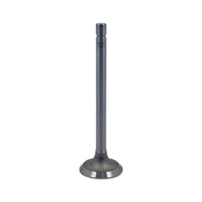 Intake Valve