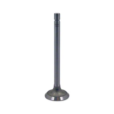 Intake Valve