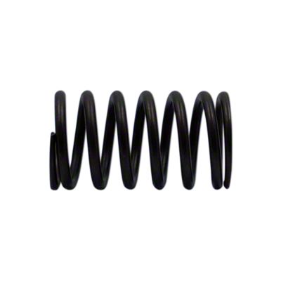 Valve Spring