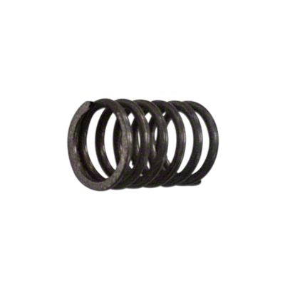 Cam Shaft Spring