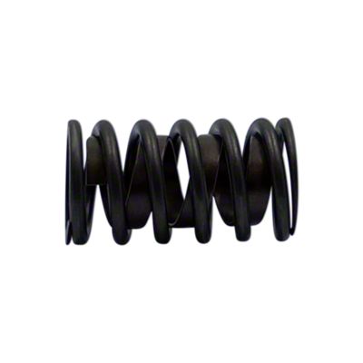 Valve Spring