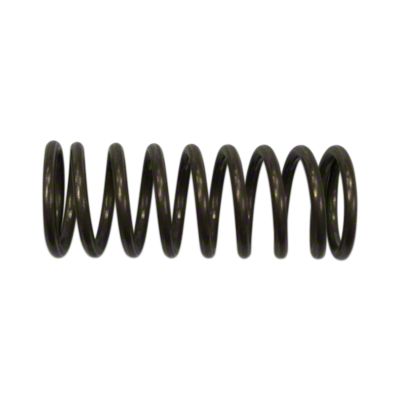 Hydraulic Pump Piston Spring