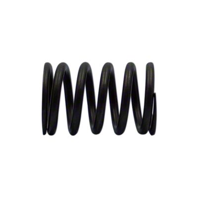 Valve Spring