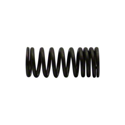 Valve Spring