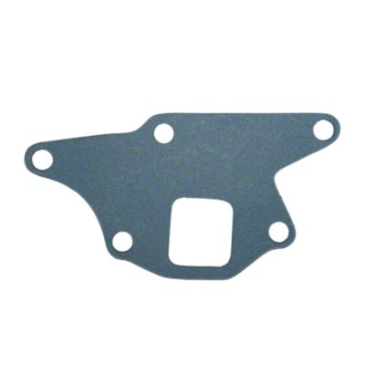 Water Pump Gasket