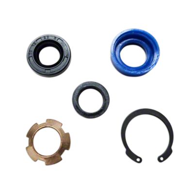 Power Steering Seal Kit