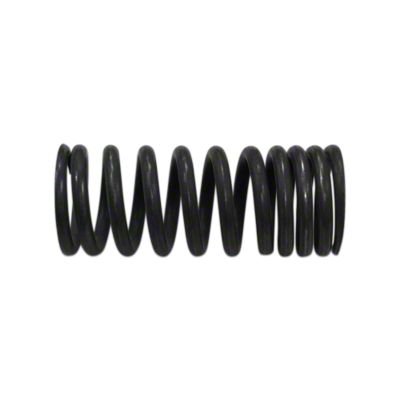 Intake Valve Spring