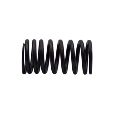 Valve Spring