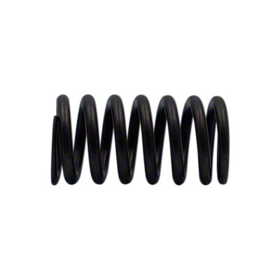 Valve Spring