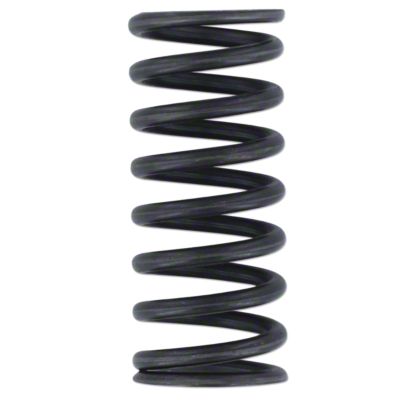 Valve Spring