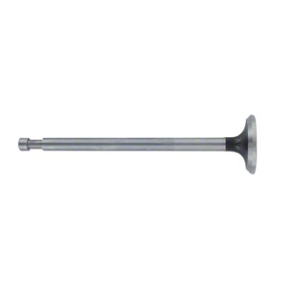 Exhaust Valve