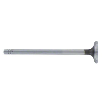 Exhaust Valve