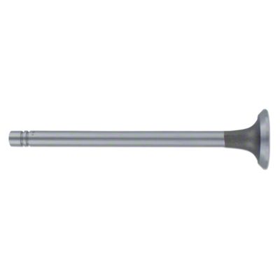 Exhaust Valve