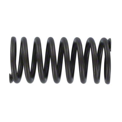 Valve Spring