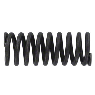 Valve Spring