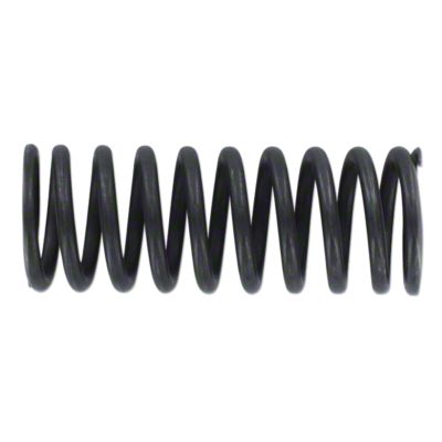 Valve Spring