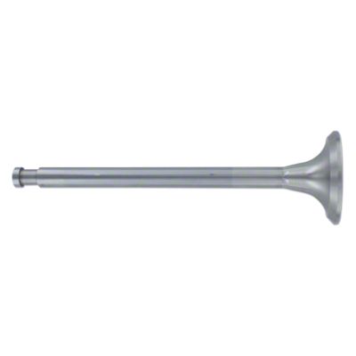 Exhaust Valve