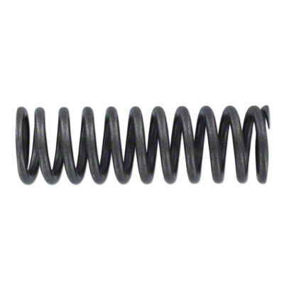 Valve Spring