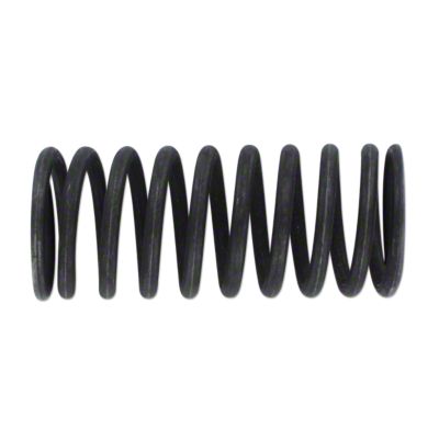 Valve Spring