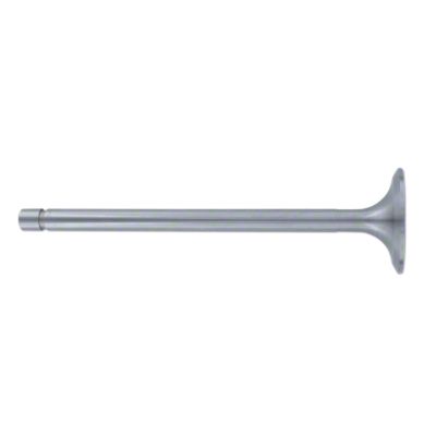 Intake Valve