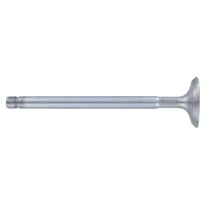 Exhaust Valve