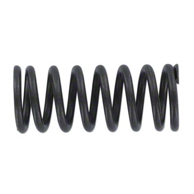 Valve Spring