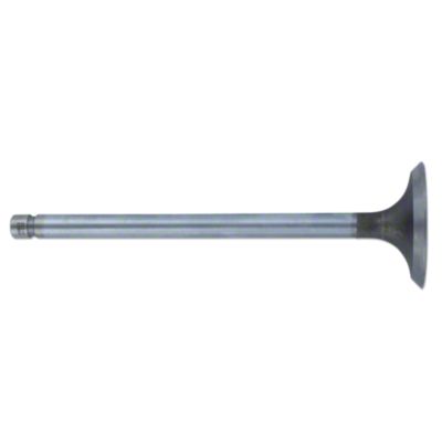 Intake Valve