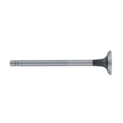 Exhaust Valve