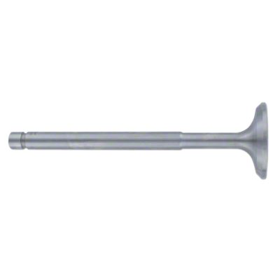 Intake Valve