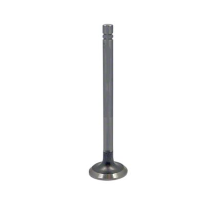 Exhaust Valve