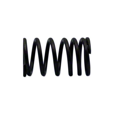 Valve Spring