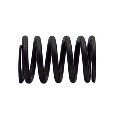 Valve Spring