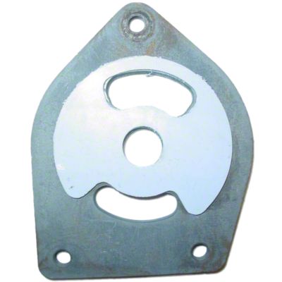 Throttle Speed Control Plate with linings