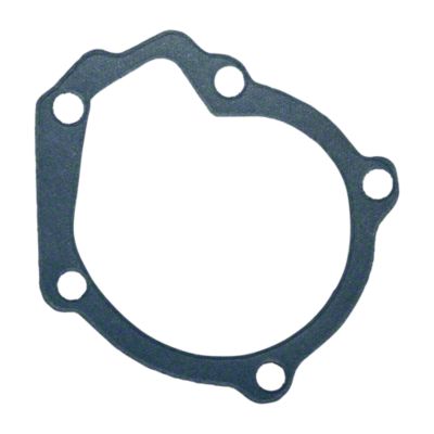 Water Pump Gasket