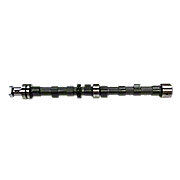Camshaft with nut