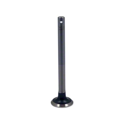 Intake/Exhaust Valve