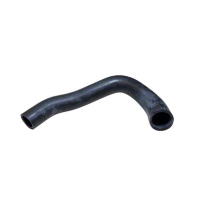 Lower Radiator Hose