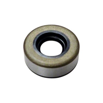 Governor Shaft Oil Seal, 1750108M1