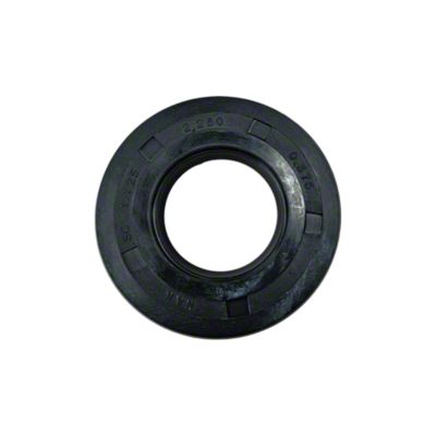 Input Shaft Oil Seal, Massey Ferguson 195523M1