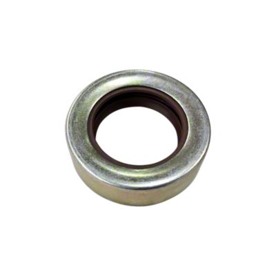 Seal - Rear Axle Differential Carrier Plate