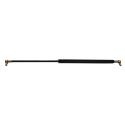 Rear Window Strut
