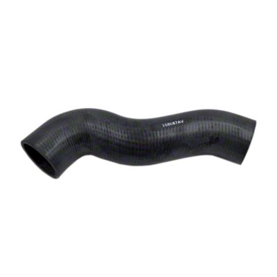 Upper Radiator Hose