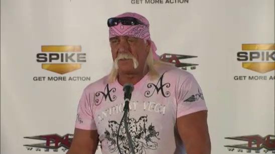 WWE Ends Hulk Hogan's After Racist Rant Surfaces